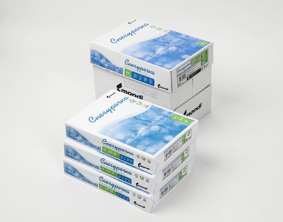 Британский производитель бумаги «Снегурочка» продаст завод в России