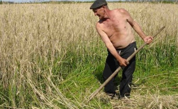 США с помощью транснациональных корпораций скупают сельскохозяйственные земли на Украине