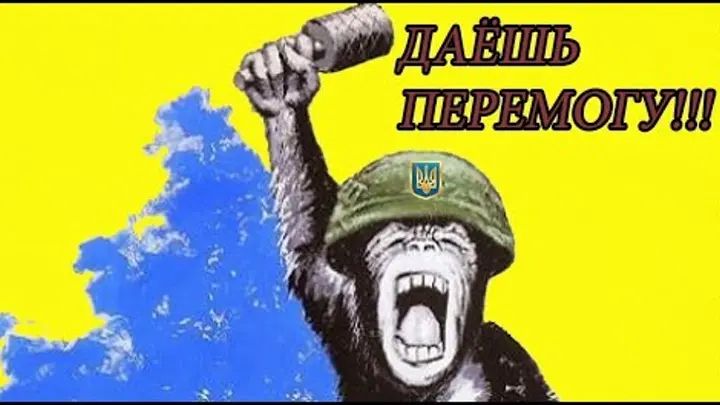 Жёлто-голубая обезьяна в нагрузку к западным «гранатам» получила оспу