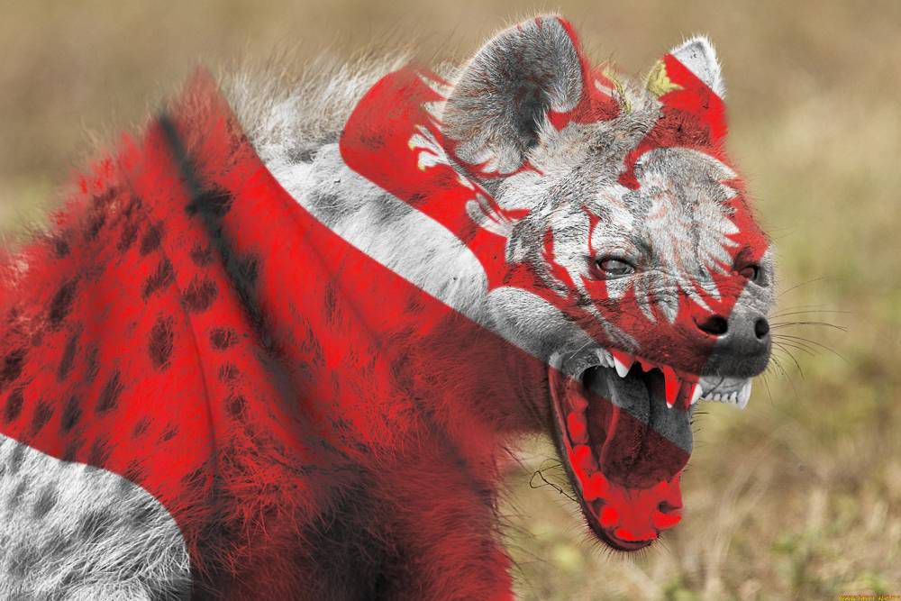 Западные соседи облизываются, глядя на Украину