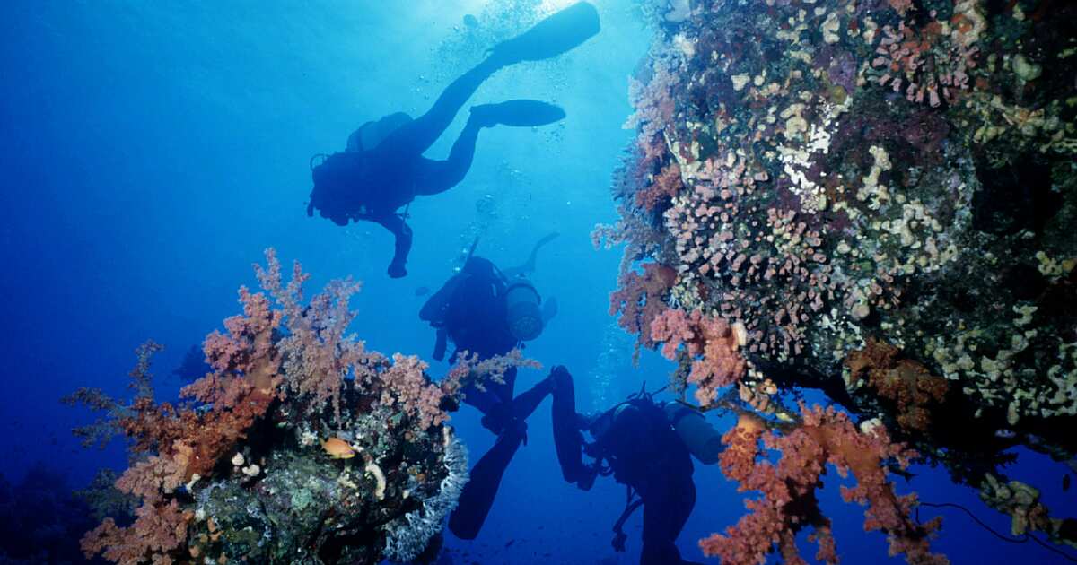 В Египте во время дайвинга пропала туристка из России