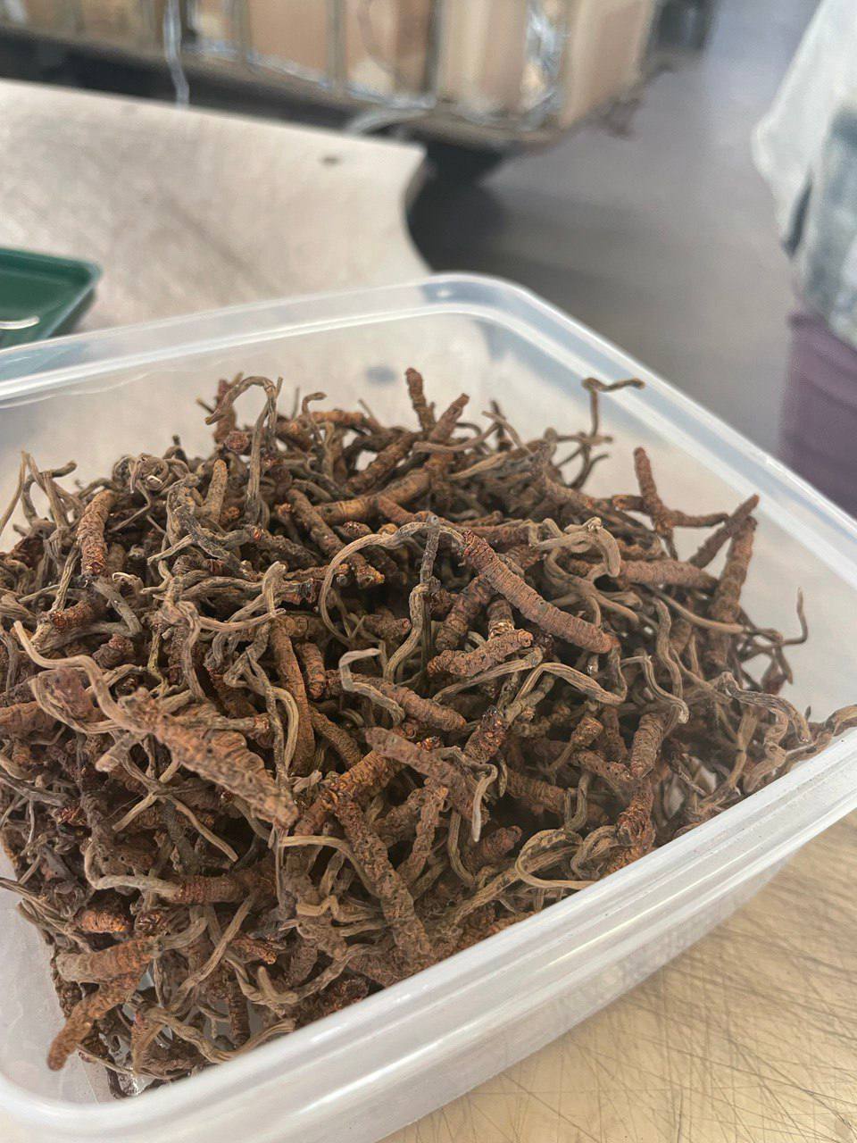 Таможенники вернули в Индию заказ с грибами на 1 млн рублей