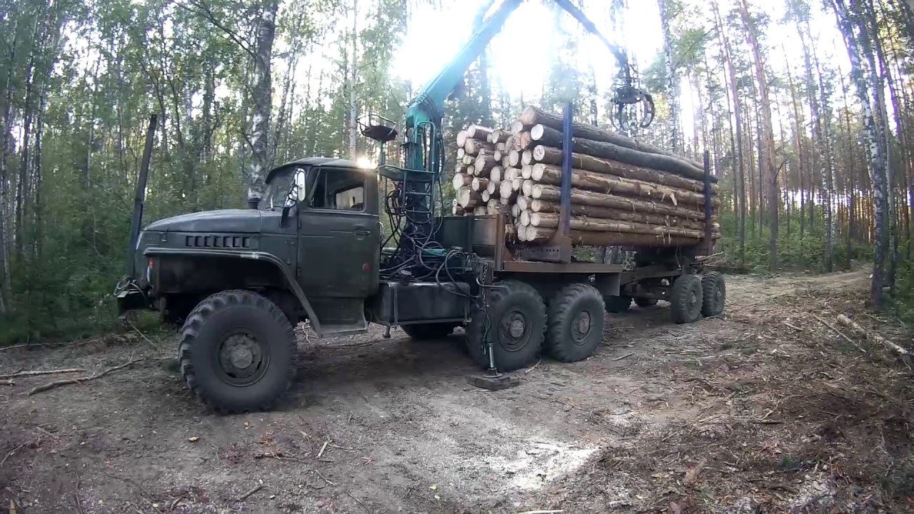 От Кавказа до Приморья: вся страна с защитниками Новороссии