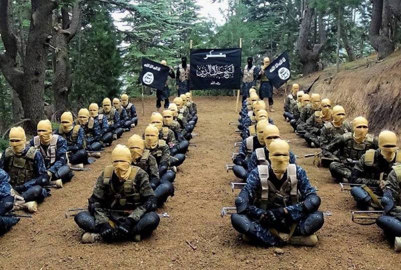 США завербовали 60 террористов для диверсий в России 