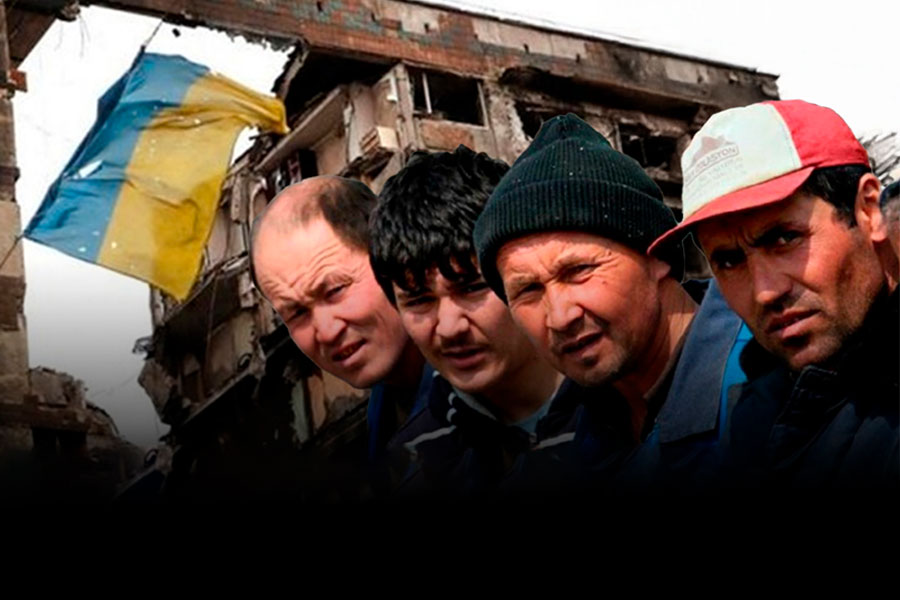 Украина восстановит численность населения за счёт мигрантов