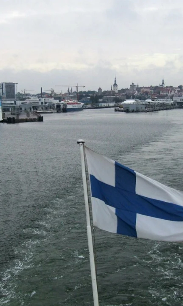 В Финляндии назвали вступление в НАТО «катастрофической ошибкой»