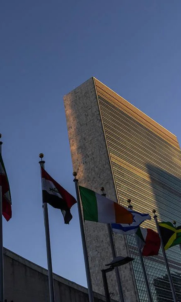 Россию избрали в исполнительный совет ВПП на 2027–2029 годы, оставив позади Польшу